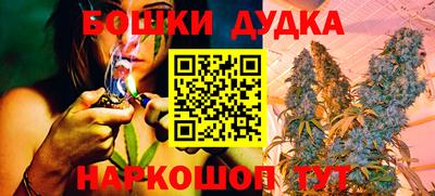 jwh Кингисепп