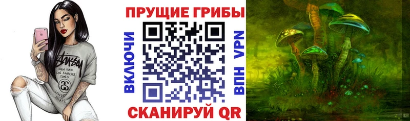 hydra ТОР  как найти   Старая Русса  Галлюциногенные грибы Psilocybe 