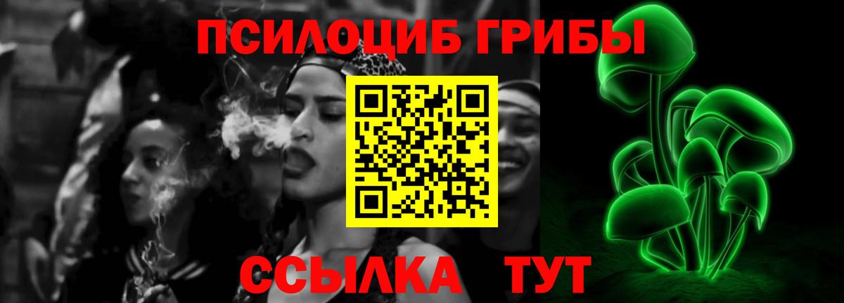 Псилоцибиновые грибы Psilocybe  Вход с VPN  как найти закладки  Галлюциногенные грибы прущие грибы  Старая Русса 